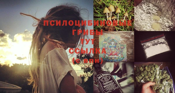 экстази Арсеньев